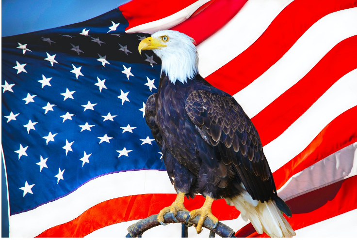 American Eagle Flying Over U.S. Flag by Gilles DETOT